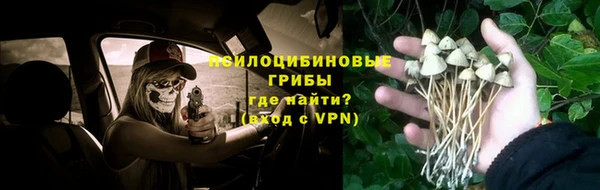 2c-b Заволжье
